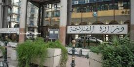 الجزائر:وزير الفلاحة يترأس ورشة عمل حول احصاء وتثمين الموارد الفلاحية الصحراوية